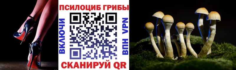 Псилоцибиновые грибы мицелий  mega ONION  Клинцы 